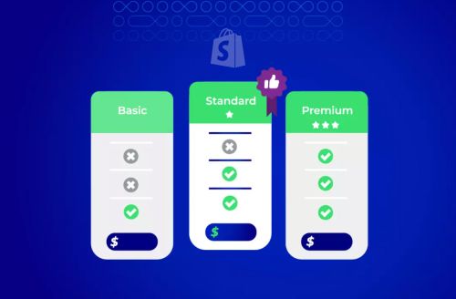 shopify收费标准